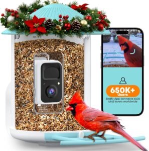 Best Smart Bird Feeder With Camera – Get Alerts When Birds Visit